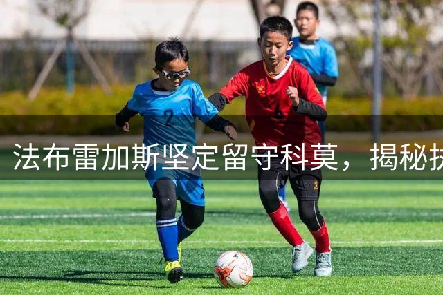 法布雷加斯坚定留守科莫，揭秘执教秘诀与新星培养计划
